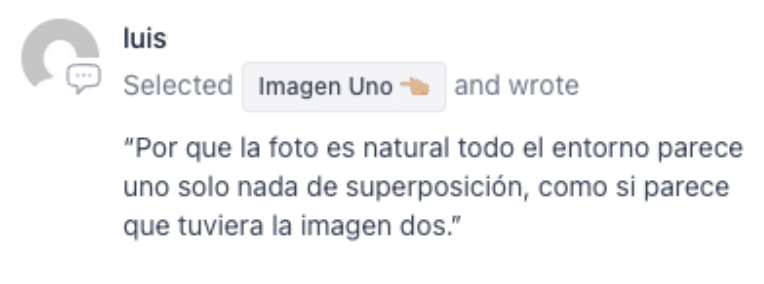 Comentario de un usuario que eligió Imagen Uno por percibirla como más natural y sin señales de superposición digital.